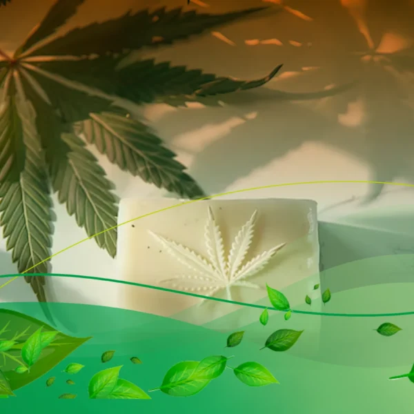 Curso de Elaboración de Jabón Saponificado en Frío con CBD