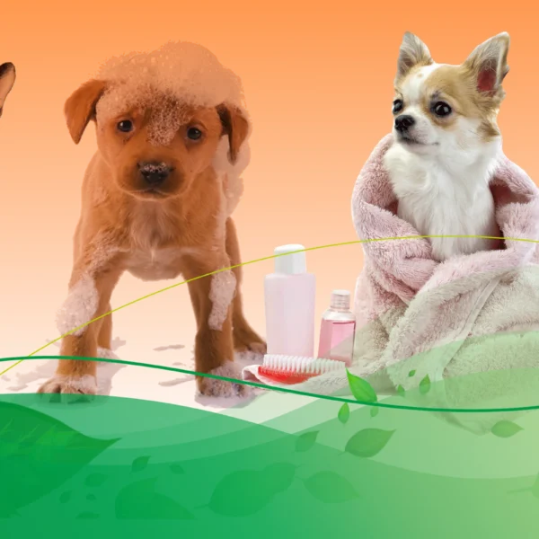 Cosméticos para Mascotas