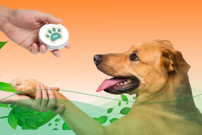 Elaboración de Bálsamo plantar para mascotas